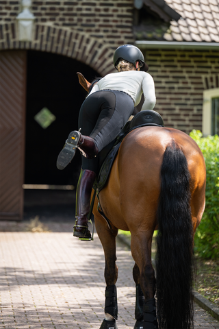 Bryczesy New Lugana FFL Czarny