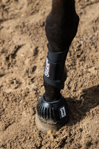 Basic Neopren Damasker Fram