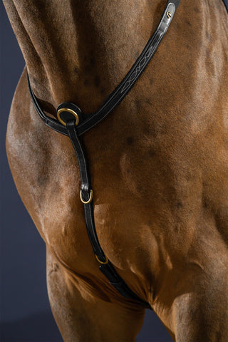 Borsttuig met brug Dyon Collection Bruin