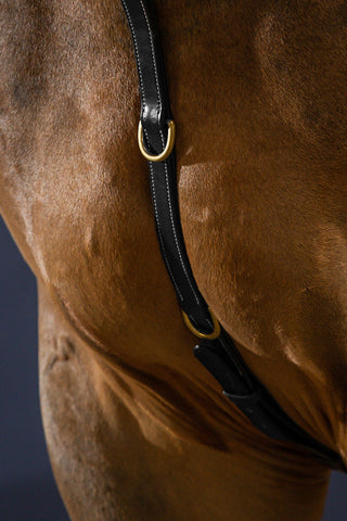 Borsttuig met brug Dyon Collection Bruin