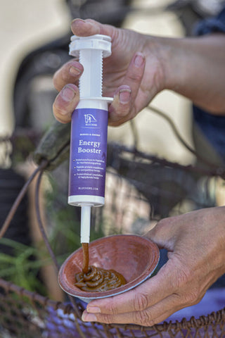 Energy Boost