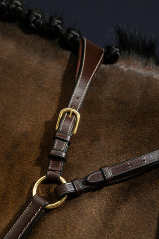 Borsttuig met brug Dyon Collection Bruin