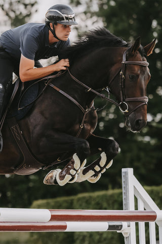 Borsttuig met brug Dyon Collection Bruin