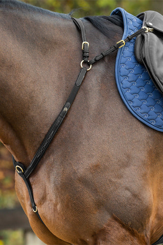 Borsttuig met brug Dyon Collection Bruin