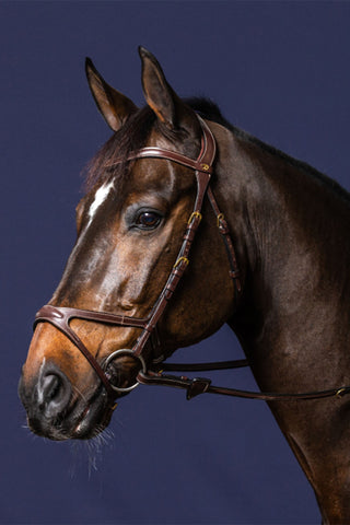 Trense X-fit New English Brun