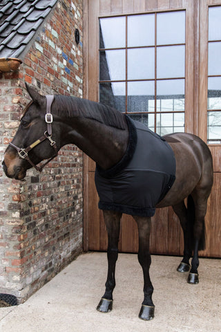 Borstbeschermer Zwart