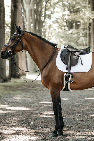 Fiskben Schabrak Svart