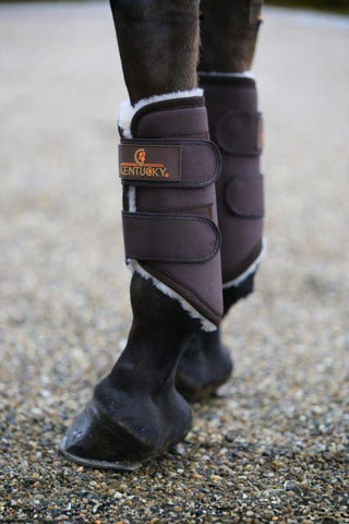 Kentucky Horsewear Turnout Damasker Solimbra Bak