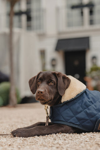 Oryginalna derka dla psa 160g