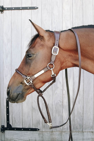 Longe à Chaîne en Cuir