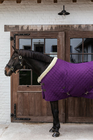 Couverture de présentation 160g violet