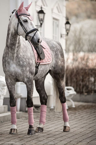 Lami-cell Dressyrschabrak Venus