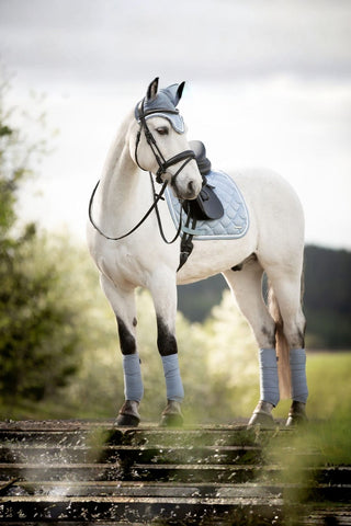 Lami-cell Dressyrschabrak Venus