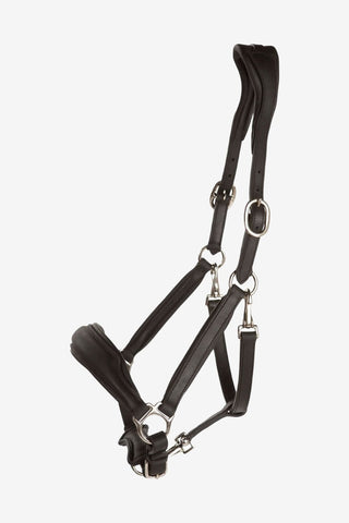 Lippo Lädergrimma Grooming