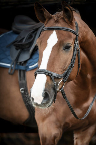 Lippo Träns Fazzino