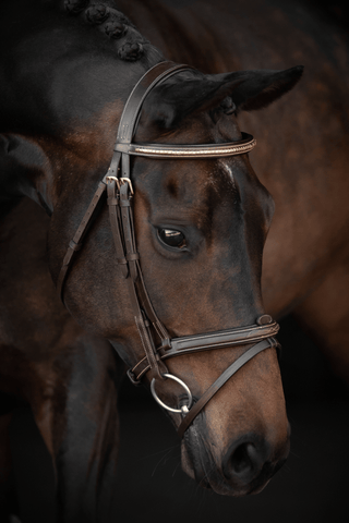 Trense Preston Fancy Chocolate